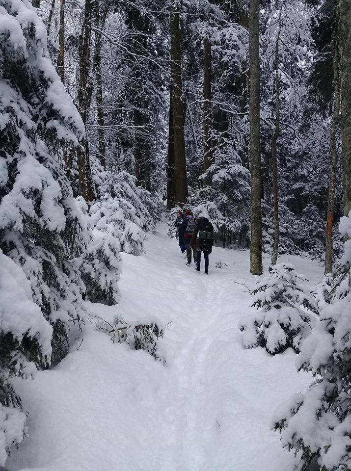 ლიკანის ხეობის ბილიკი (ბ.ხ.ე.პ.)