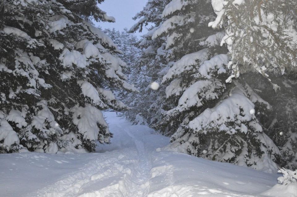 ლიკანის ხეობის ბილიკი (ბ.ხ.ე.პ.)