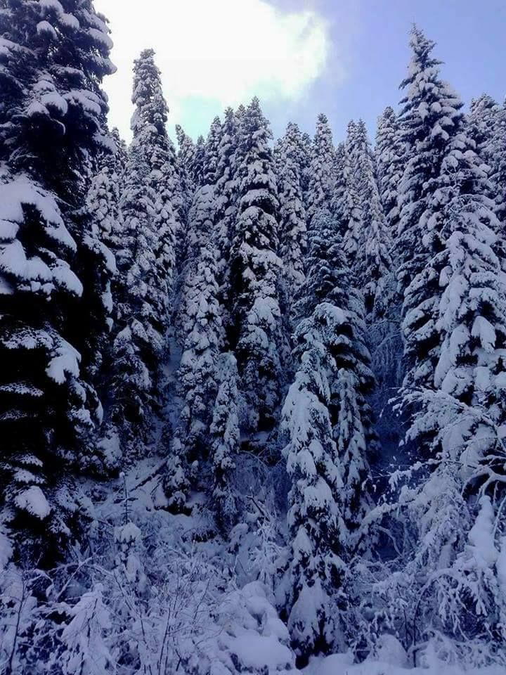 ლიკანის ხეობის ბილიკი (ბ.ხ.ე.პ.)