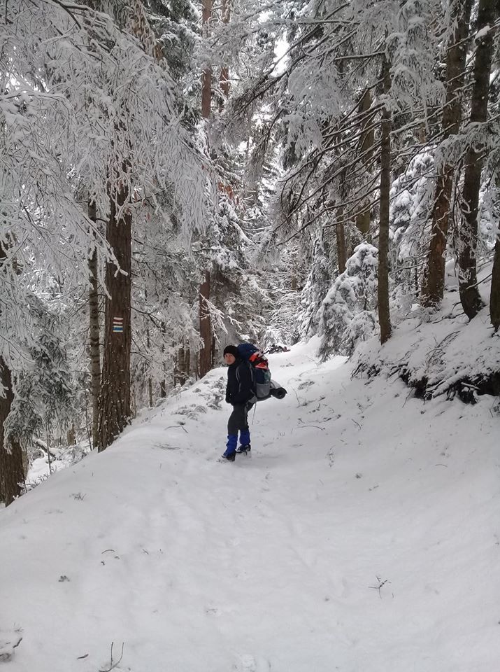 ლიკანის ხეობის ბილიკი (ბ.ხ.ე.პ.)