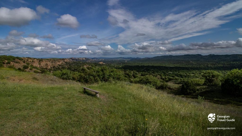 ვაშლოვანი: პანტიშარა, დათვისხევი, მოლუსკები, ალესილები და ა.შ.