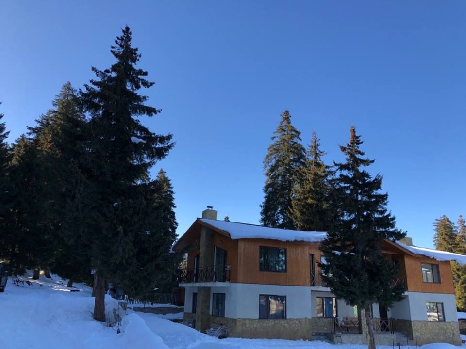 ქირავდება კოტეჯები ბაკურიანში