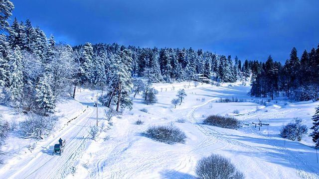 ბაკურიანის ერთდღიანი ტური