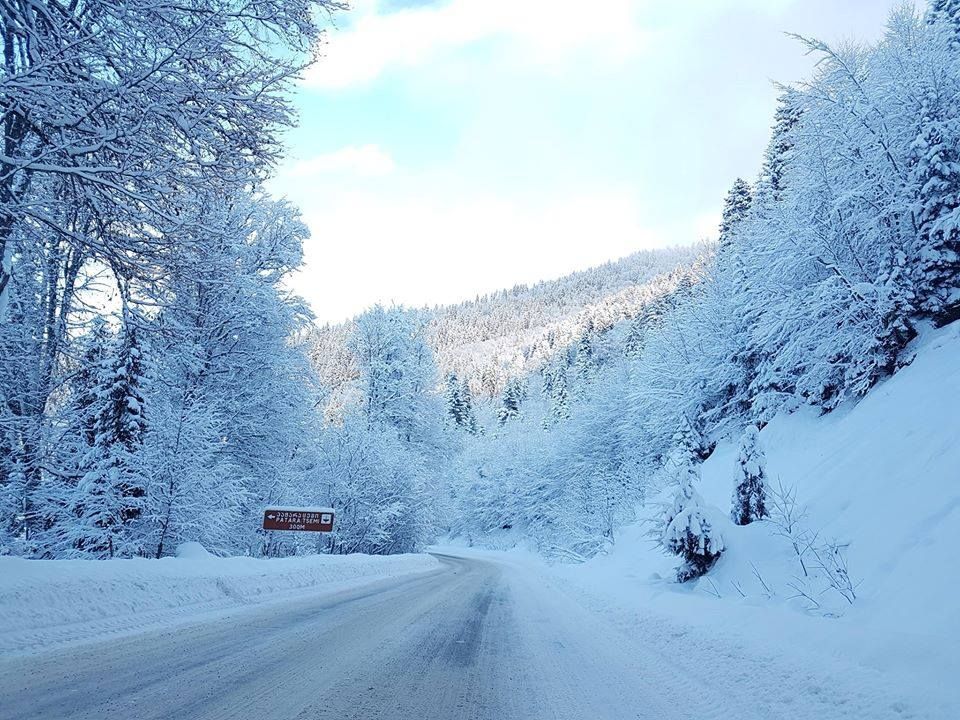 ტური ბაკურიანში - სეზონის გახსნა  დეკემბერი