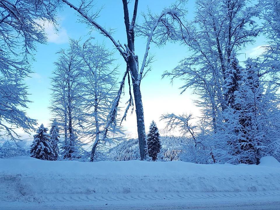 ტური ბაკურიანში - სეზონის გახსნა  დეკემბერი