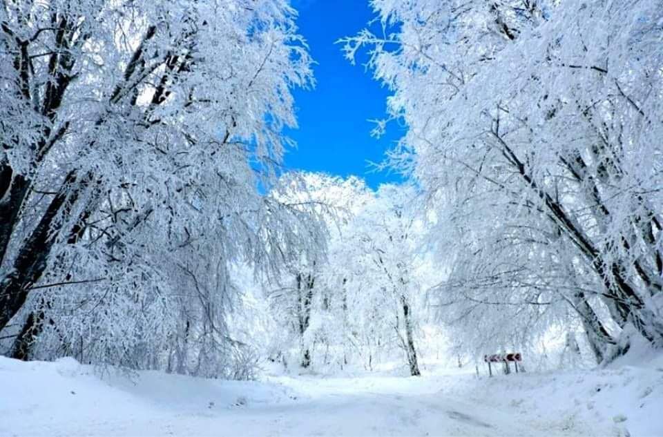 დათოვლილი საბადური