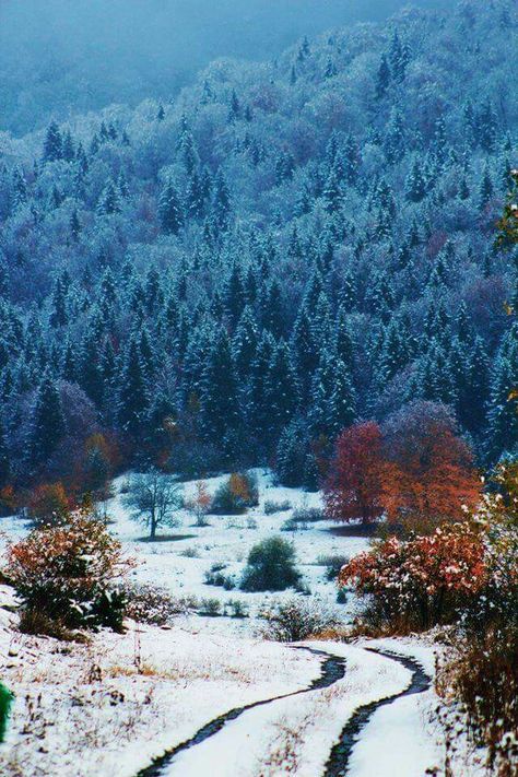 დაესწარი "რაჭაში" ძველით ახალ წელს - იანვარი