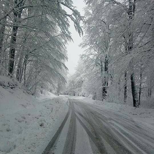 დაესწარი "რაჭაში" ძველით ახალ წელს - იანვარი