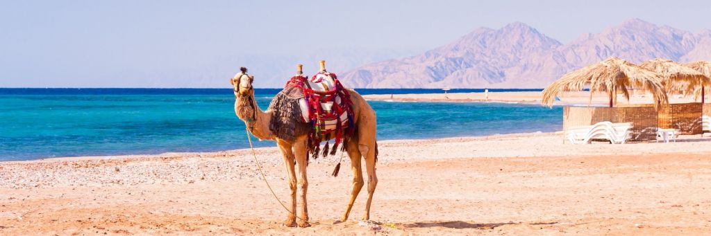 იმოგზაურე ეგვიპტერში -