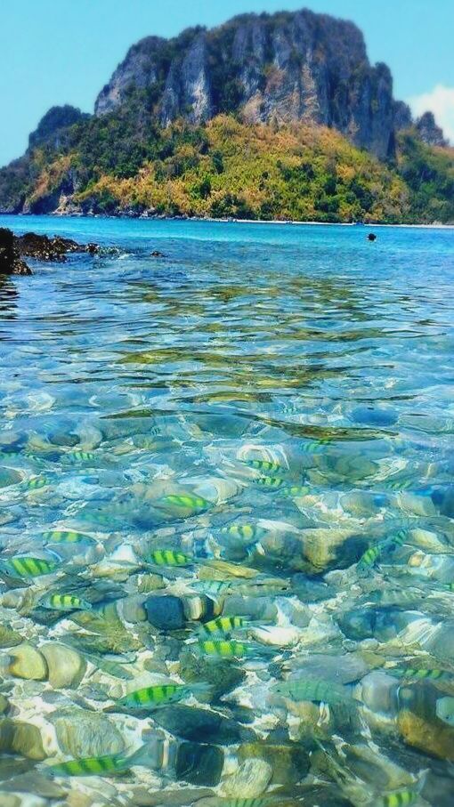 ტაილანდი