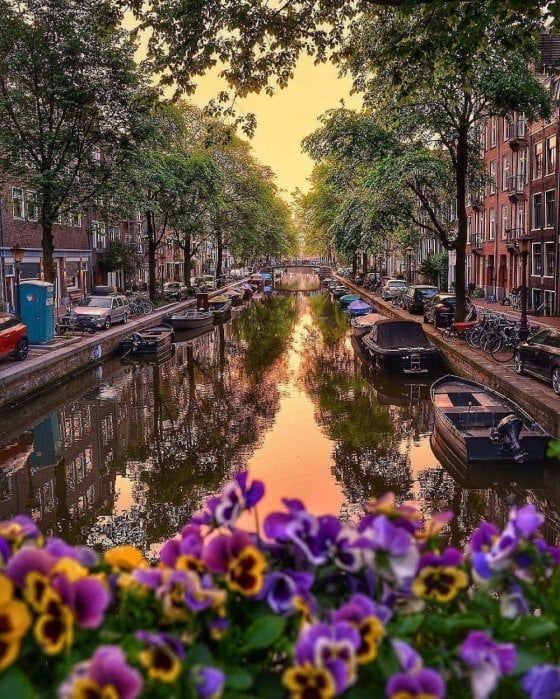 ჯგუფური ტური ამსტერდამში ( - მარტი)