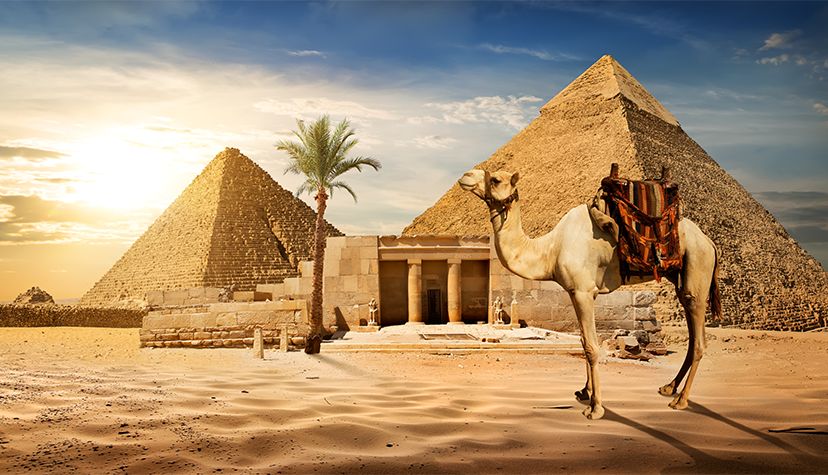 ყველაზე დაბალი ფასები შარმ ელ შეიხში