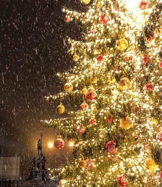 ბოლონია