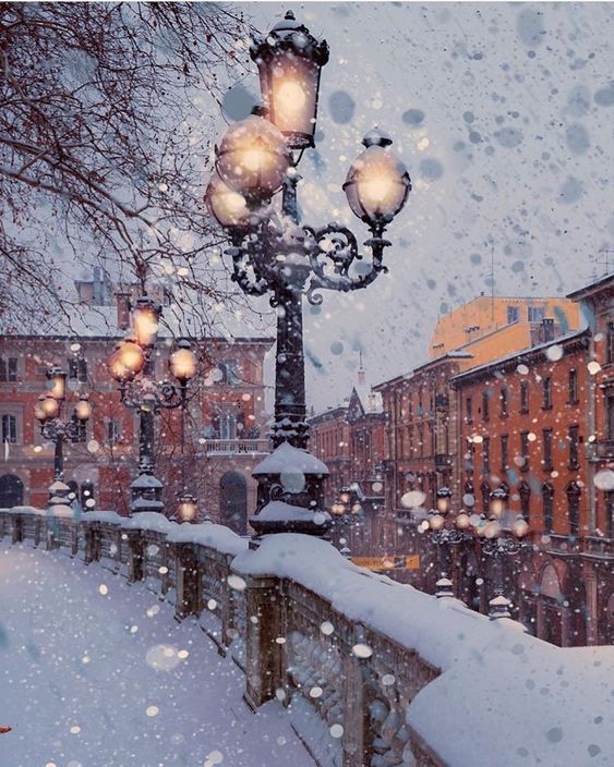 ბოლონია