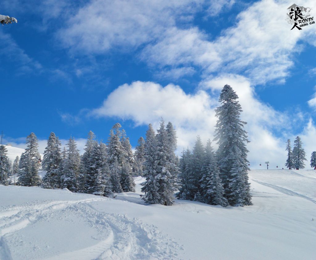 მოირონინე ზემო აჭარა, კურორტი გოდერძი