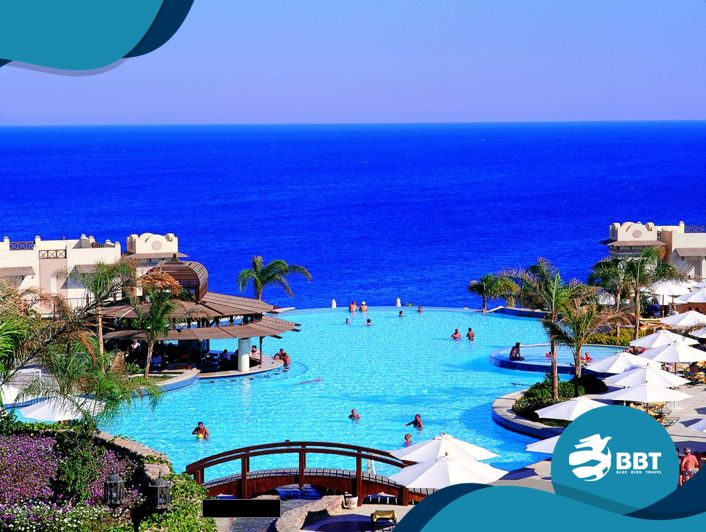 ცხელი შეთავაზება! ეგვიპტე!