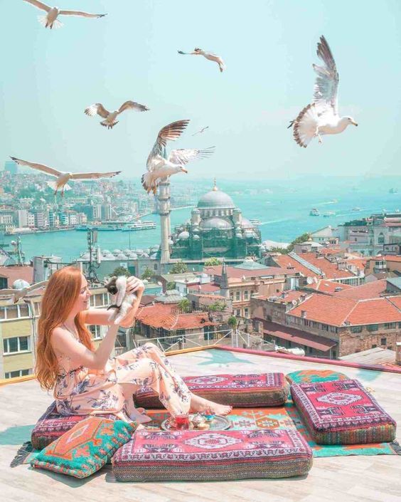 სტამბული ₾-ად