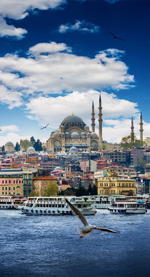 სტამბული ₾-ად