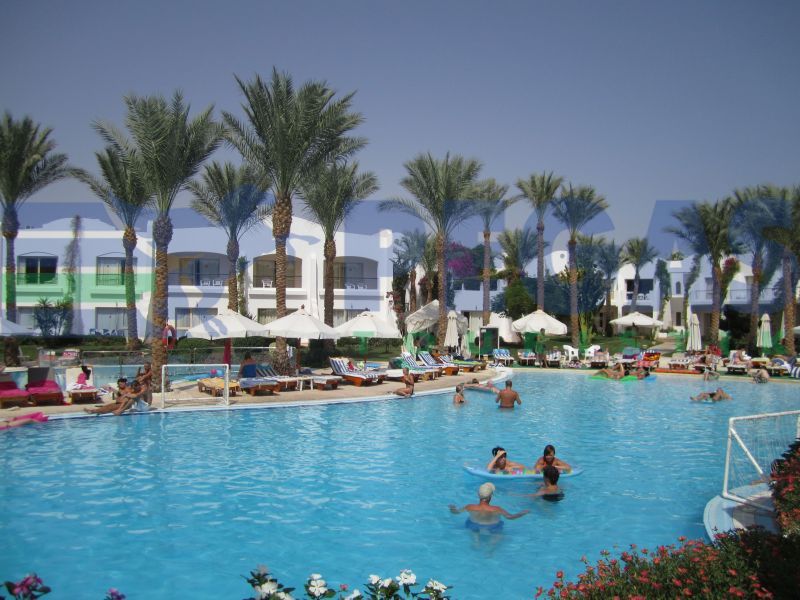 წინასაახალწლო ტური ეგვიპტეში