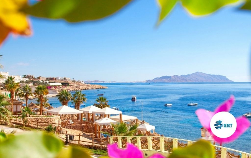 ეგვიპტე! ცხელი შეთავაზება!