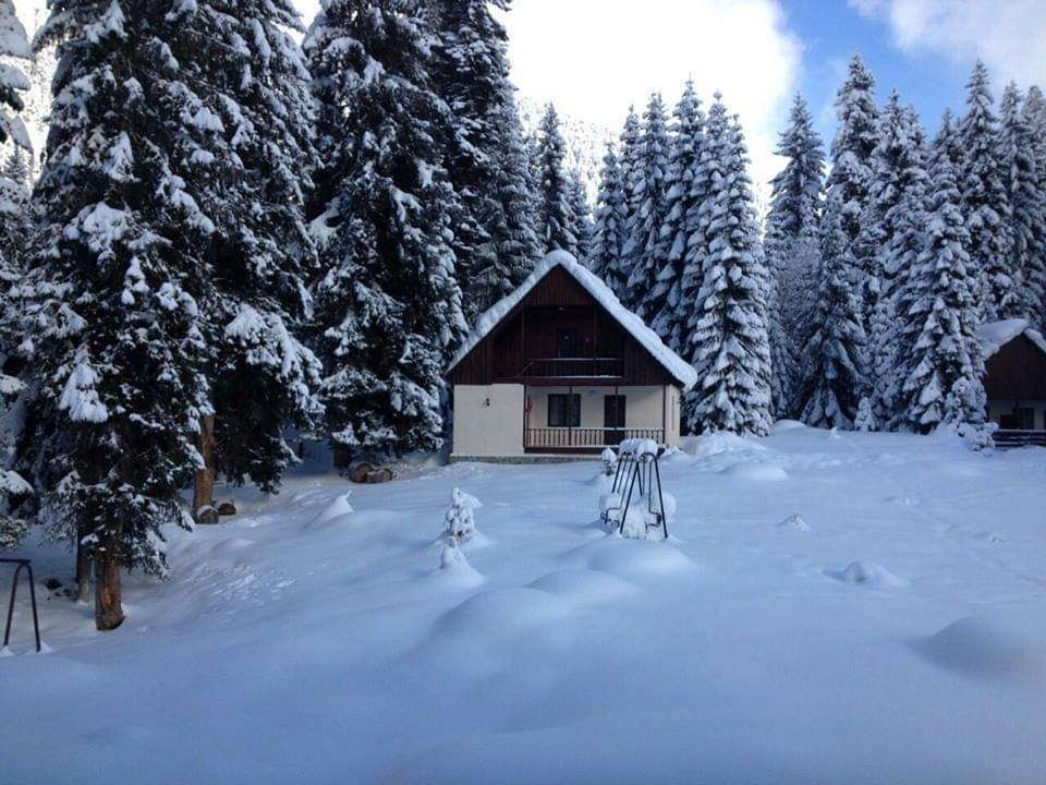 - იანვარი - ორდღიანი ტური რაჭაში (თოვლის ფესტივალი)
