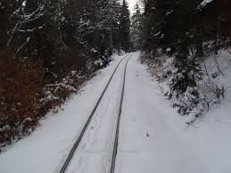 ბაკურიანი