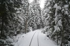 ბაკურიანი