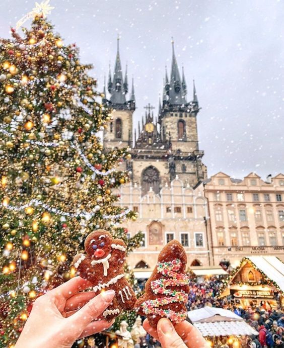 პრაღა  ₾-ად მთლიანი ტური