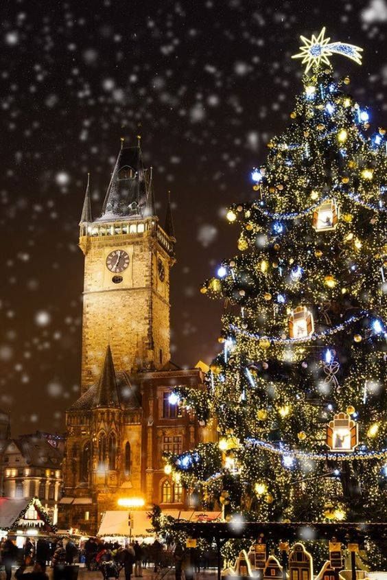 ჯგუფური ტური "პრაღა-ბუდაპეშტი"