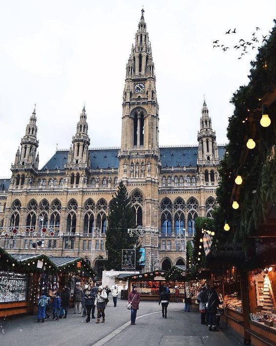 მარტის ვენა