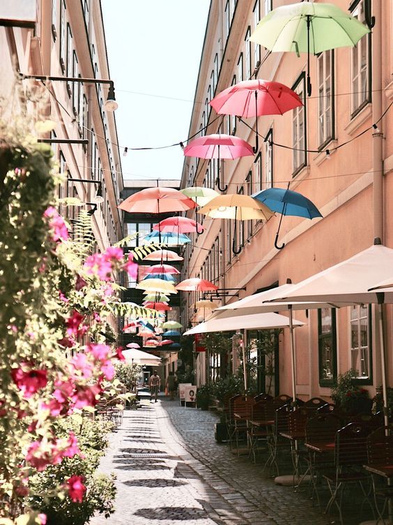 მარტის ვენა