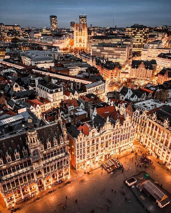 ტკბილი ბრიუსელი 