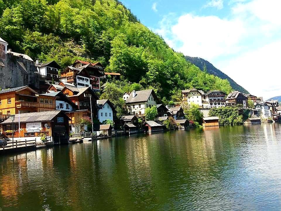 ვენა-ჰალშტატი