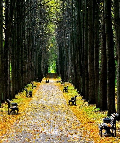 ბელარუსია 