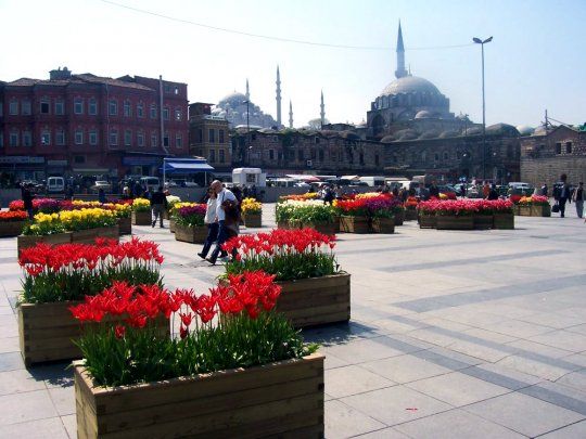 სტამბოლი