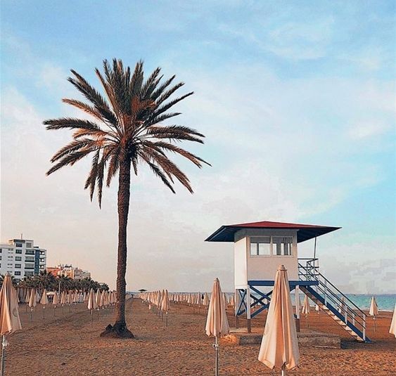 ლარნაკა