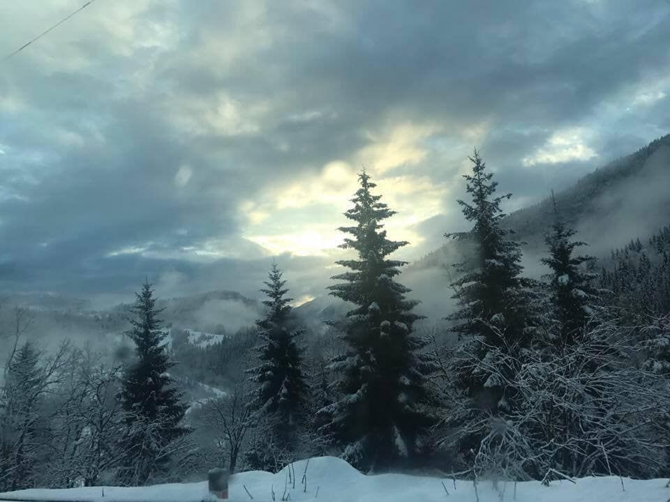 ლამპრობა სვანეთში, ,, თებერვალი