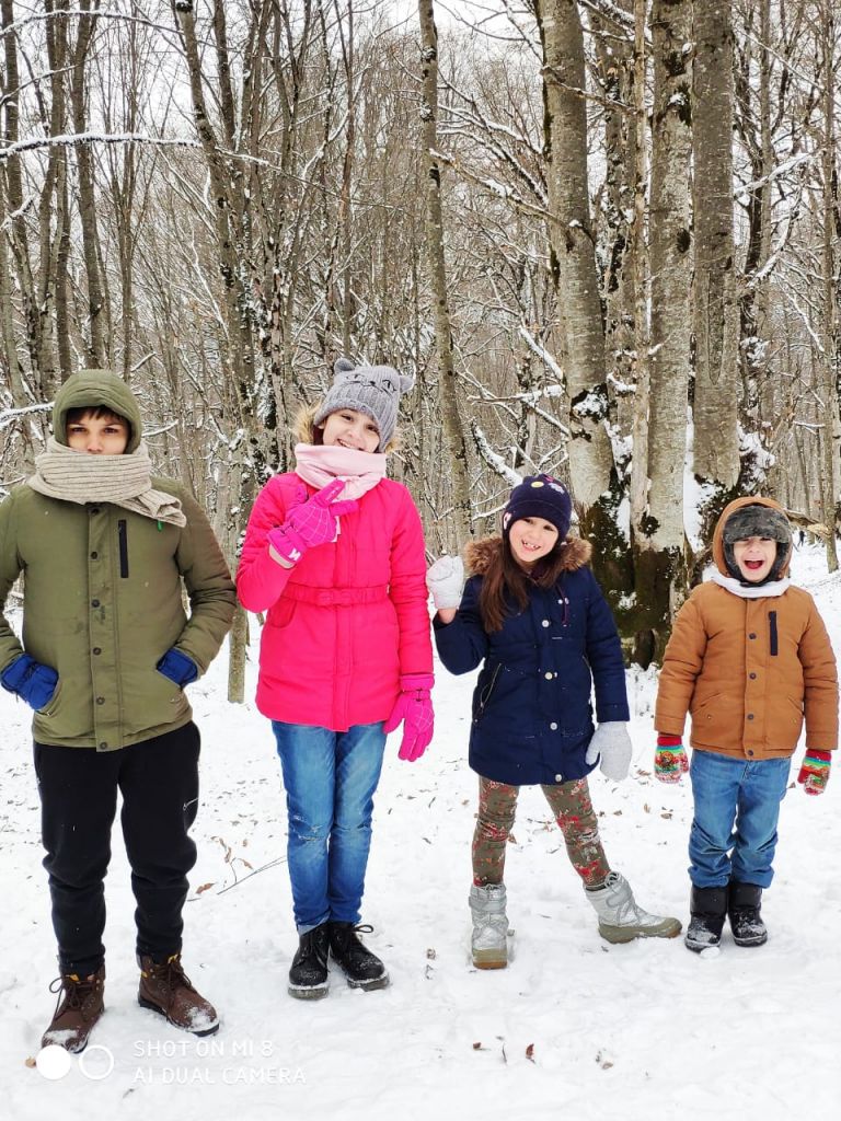 თოვლიანი საბადურის ტყე