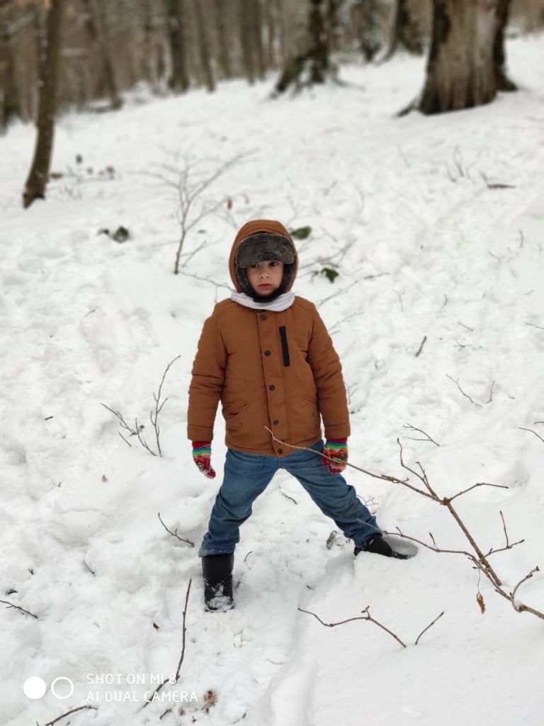 თოვლიანი საბადურის ტყე