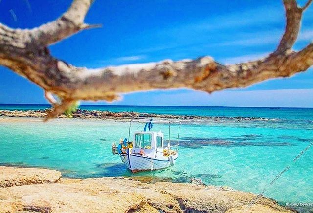 ჰალკიდიკი - ნაადრევი ჯავშნების აქცია !