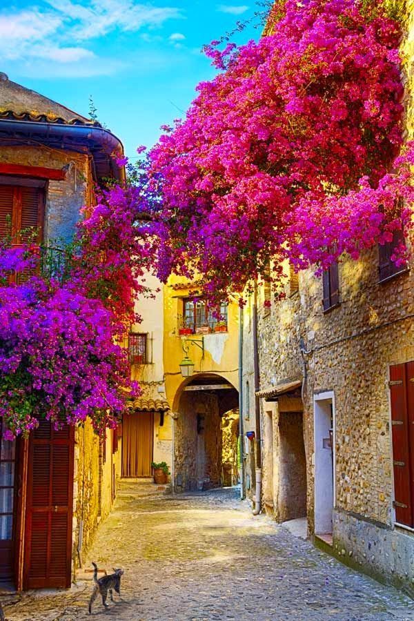 დღე სენ–ტროპეში!