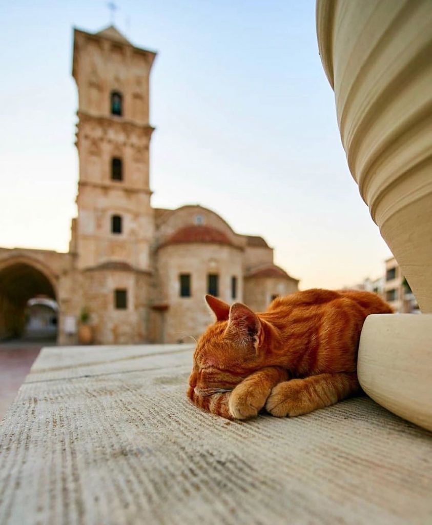 ლარნაკა