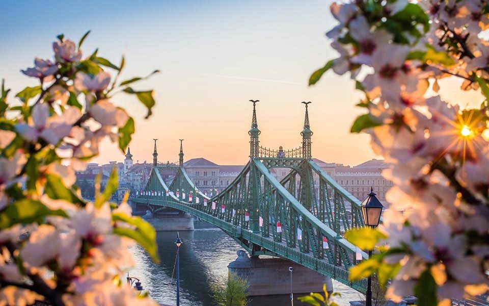 მოგზაურობას ალამაზებს გაზაფხული