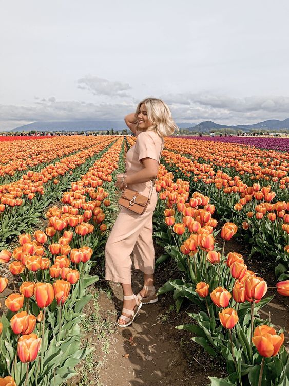 ამსტერდამი ლ-ად