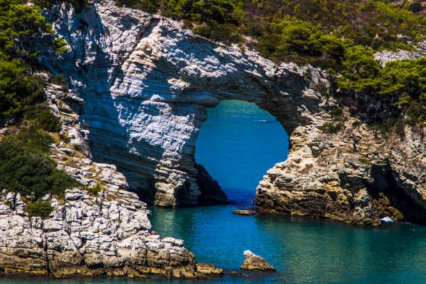 შენი მეგზური ⤿ ესპანეთის გარშემო