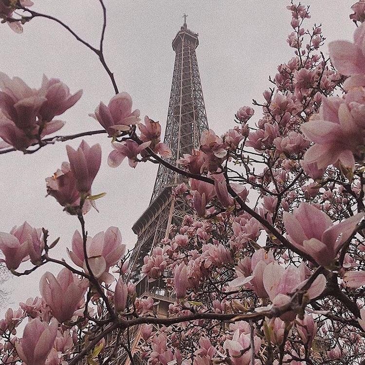 პარიზი მაისში