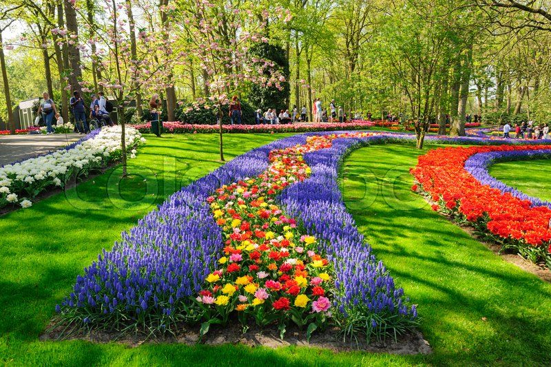 ეინდჰოვენი/ამსტერდამი 