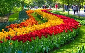 ეინდჰოვენი/ამსტერდამი 