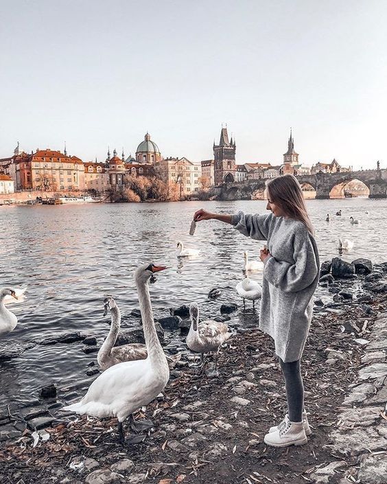 პრაღა  ₾-ად.