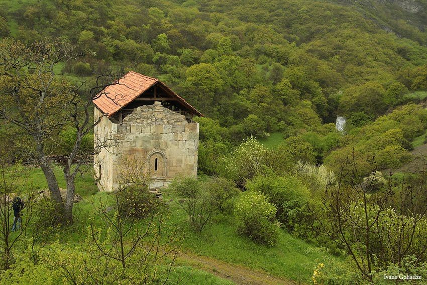 ლაშქრობა კოჯრის ტყეებში + ასურეთული შავის დეგუსტაცია